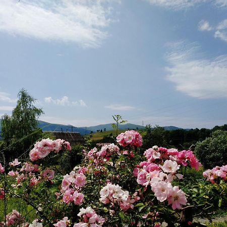 Nestg Guest House Pilipets ภายนอก รูปภาพ