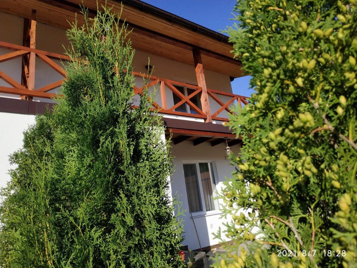 Nestg Guest House Pilipets ภายนอก รูปภาพ
