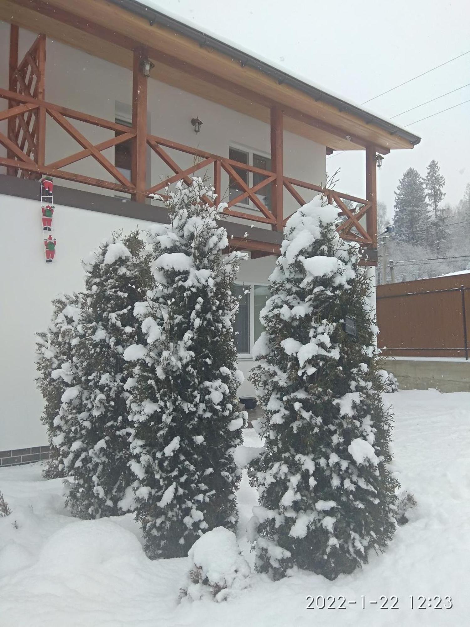 Nestg Guest House Pilipets ภายนอก รูปภาพ